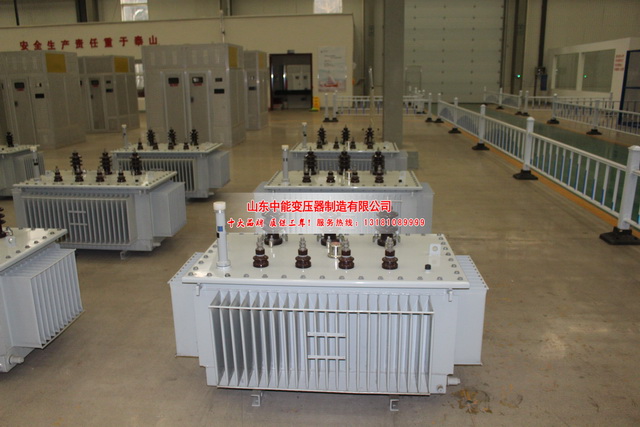 长武S11-8000KVA油浸式变压器
